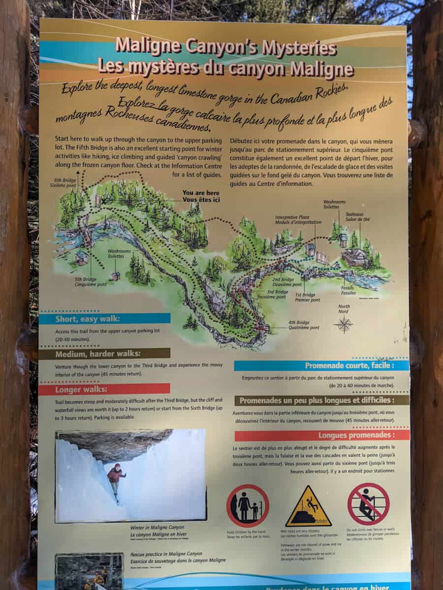 Map of Maligne Canyon in Jasper National Park, in a light brown color. The Header says "Malign Canyon's Mysteries", and under is the French translation "Les mystères du canyon Maligne" (everything in the map has a French translation under the English text). Underneath the header, it says "Explore the longest limestone gorge in the Canadian Rockies".
Underneath, there's a body of text that says "Start here to walk up through the canyon to the upper parking lot. The Fifth Bridge is also an excelent starting point for winter activities like hiking, ice climbing, and guided 'canyon crawling' along the frozen canyon floor. Check at the Information Centre for a list of guides".
Then below, there is a graphic illustration featuring the whole Maligne Canyon, with surrounding trees, creeks. There are dotted pathways indicating the trails one can walk on. On the upper left corner, of the graphic, it's labeled "You are here". indicating that a visitor is on that specific corner the map is.
Below on the left corner, there are sections showing you 3 different levels of walks:
In a blue rectangle, text says "Short, easy walk:" and below, it says "Access trail from the upper canyon parking lot (20-40 minutes:
In a brown rectangle, it says "medium, harder walks", and below: "Venture through the lower canyon to the Third Bridge and experience the mossy interior of the canyon (45 minutes return"
Below that, an orange rectangle has text that says "longer walks", and under: "Trail becomes steep and moderately difficult after the Third Bridge, but the cliff and waterfall views are worth it (up to 2 hours return) or start from the Sixth bridge (up to 3 hours return). Parking is available.
The French translations of the trail levels are on the right side of the map.
On the bottom left corner, there is a photo of a woman walking through the ice canyon. Below, the caption says "Winter in Maligne Canyon" (and "le canyon Maligne en hiver" in French). To the right, there are 3 warning symbols, which indicate:
-A child needs an accompanying adult to hold their hand
-There is a risk of falling down the canyon
-To not climb on the barriers or gated areas