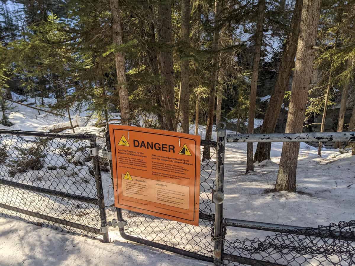 the second gate on the Maligne Canyon Icewalk. The gate has a warning sign in bright orange and says DANGER in big bold letters, with some text beneath. In between the DANGER text, there are two triangle-shaped icons indicating that a person can fall.
The ground is covered in snow, and behind the gate, there are tons of trees scattered around