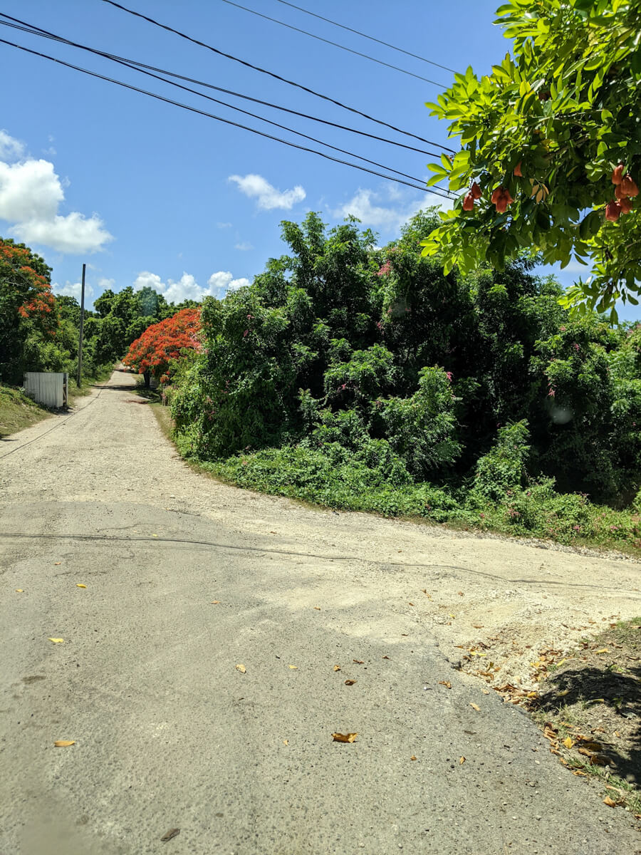 a fork in the road trying to get to stingray city in antigua