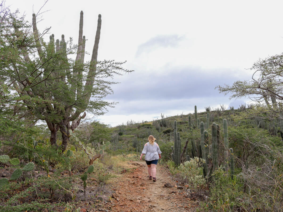 a girl hiking in aruba's national park beside tall cacti