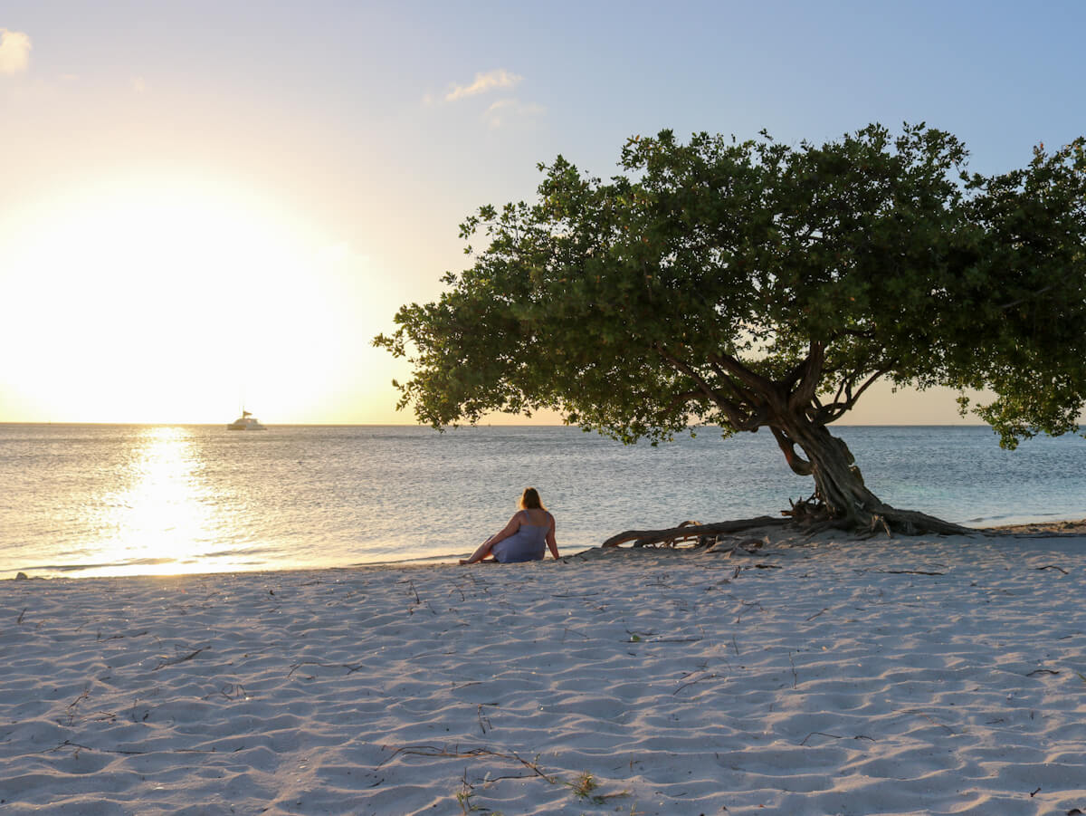 a woman sitting under a fofoti tree watching the sunset on eagle beach aruba