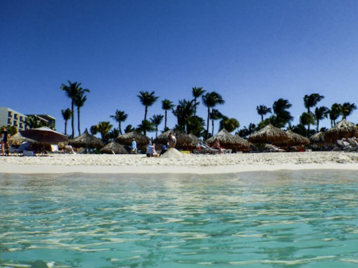 a white sand beach in aruba with turquoise water and palm trees lining the beach