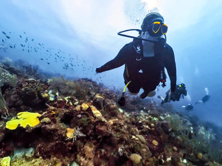 Scuba Diving in Barbados